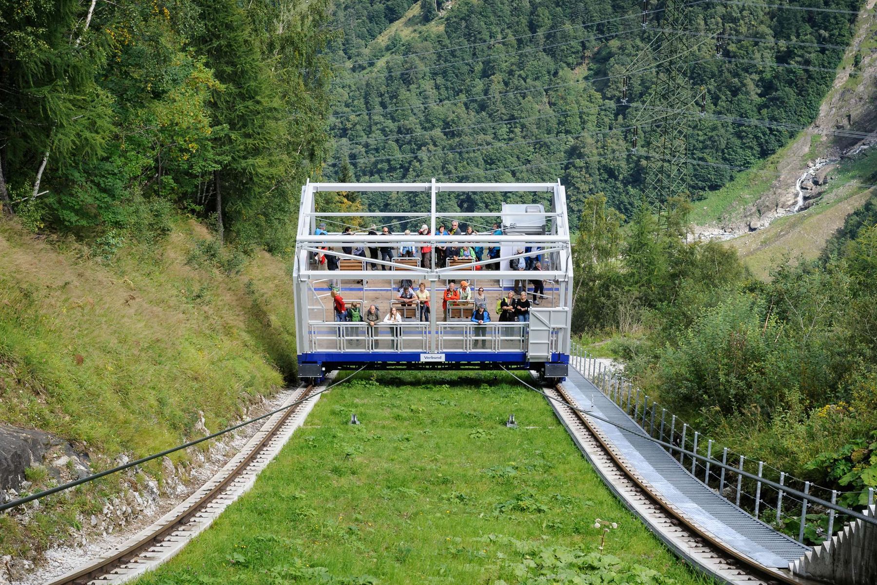 © SZZV KÄRNTEN, Liebchen, Schafe Ziegen Aktuell